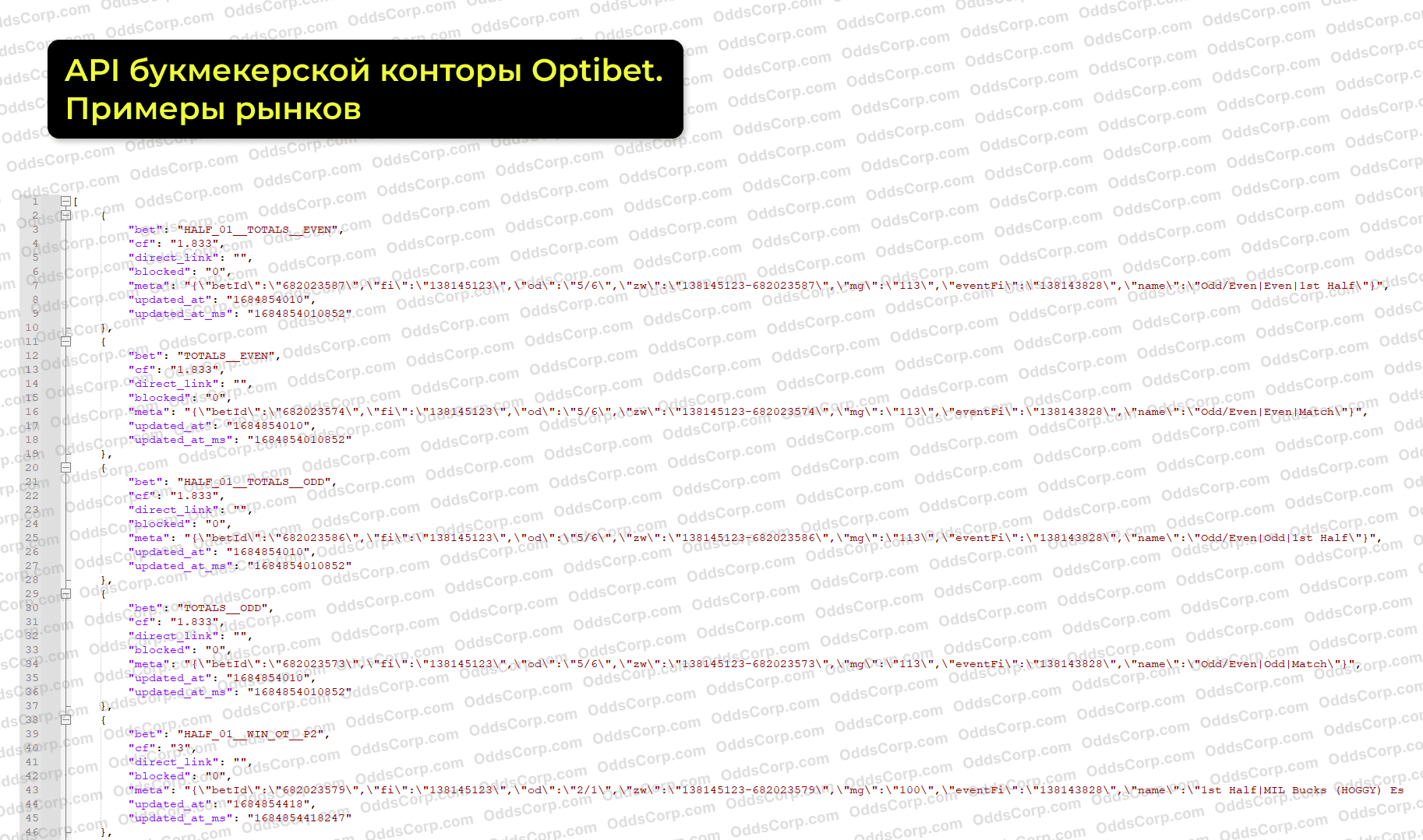 optibet-api-rynki.png