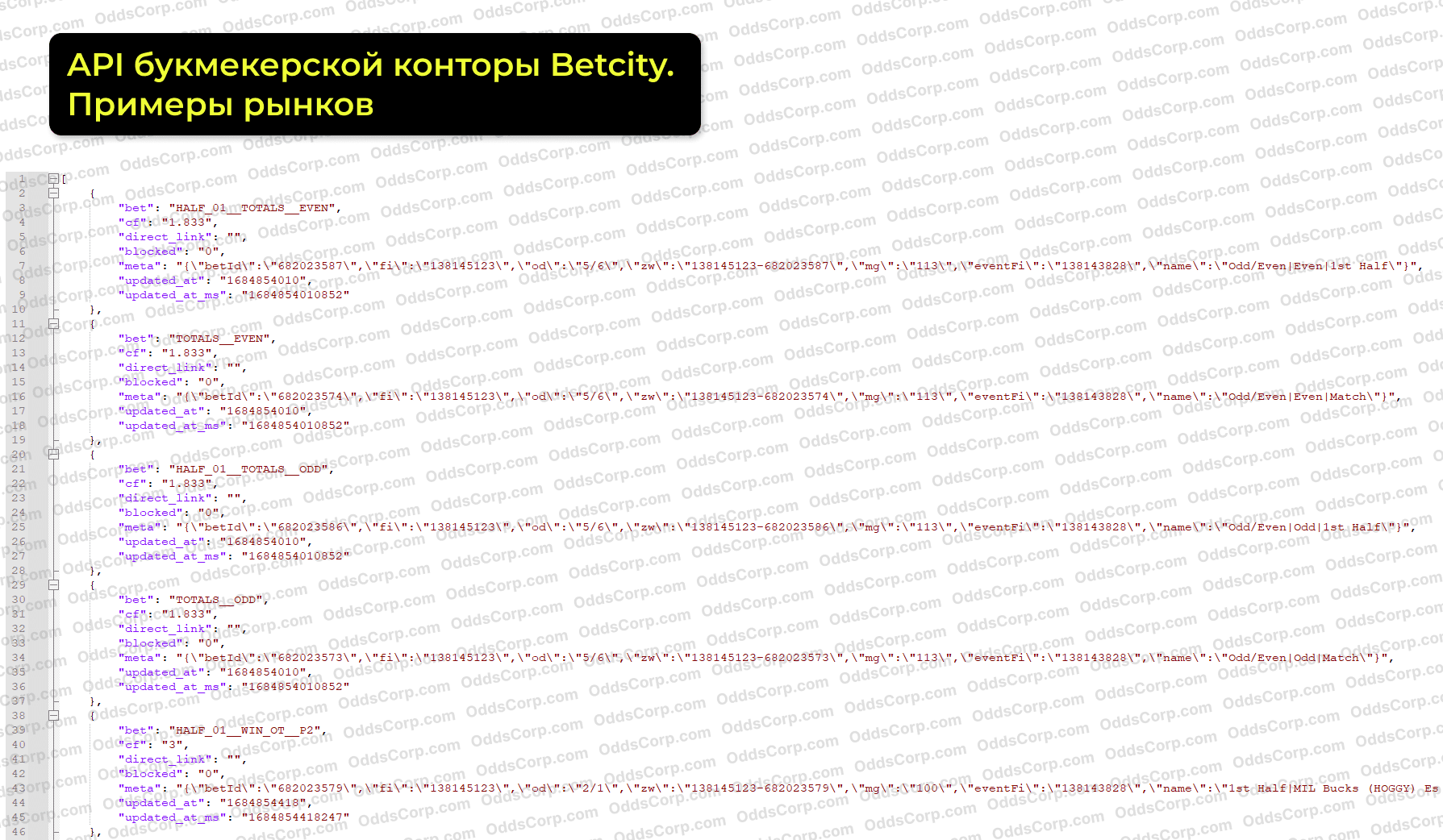 betcity-api-rynki.png