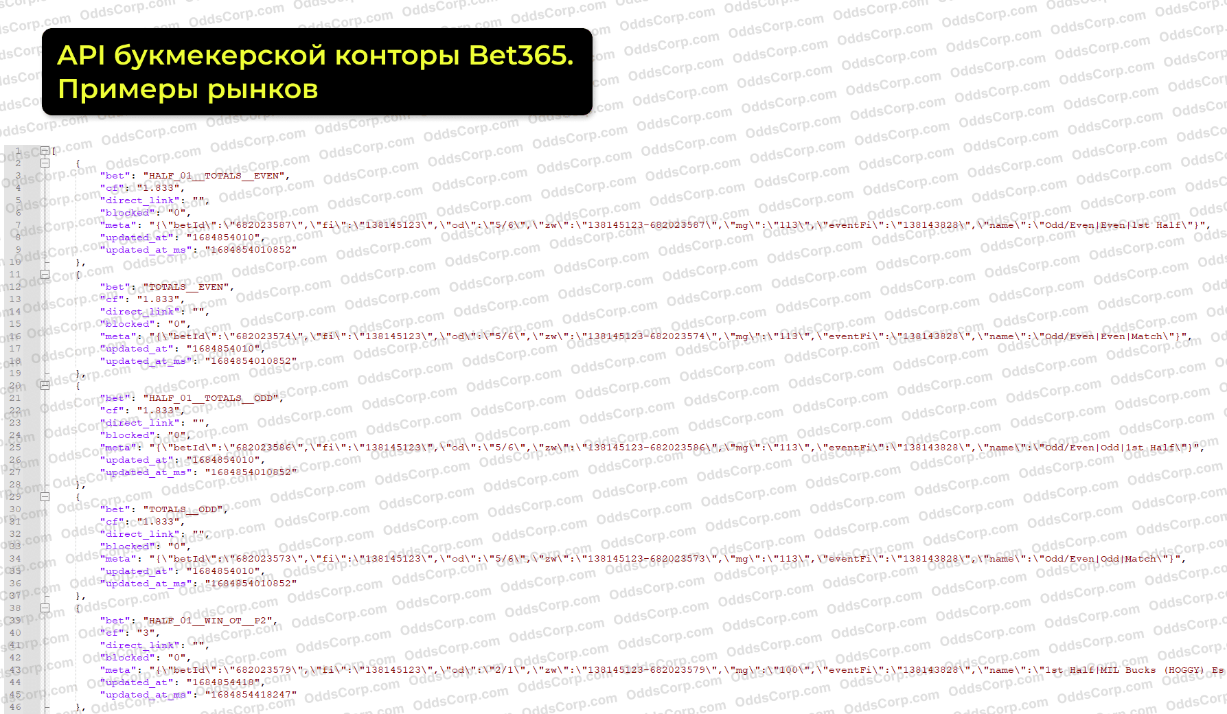 bet365-api-rynki.png