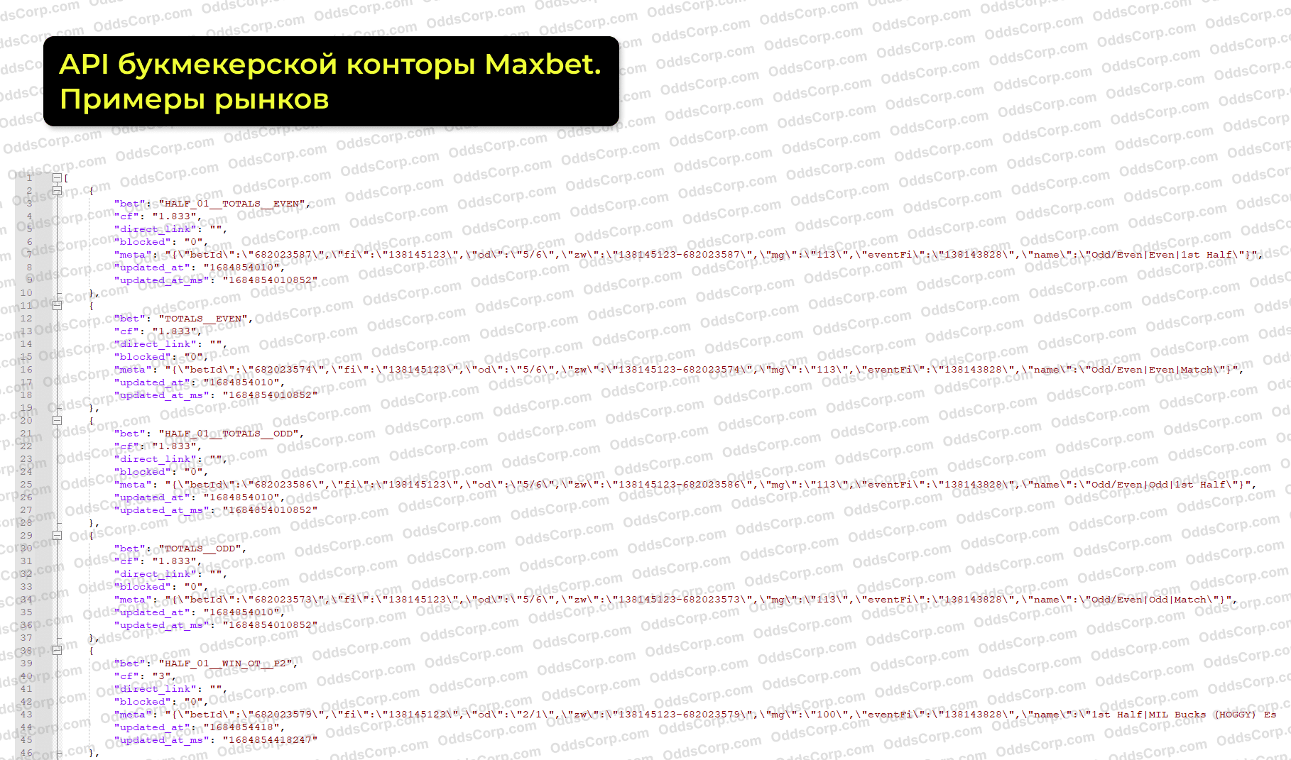 maxbet-api-rynki.png