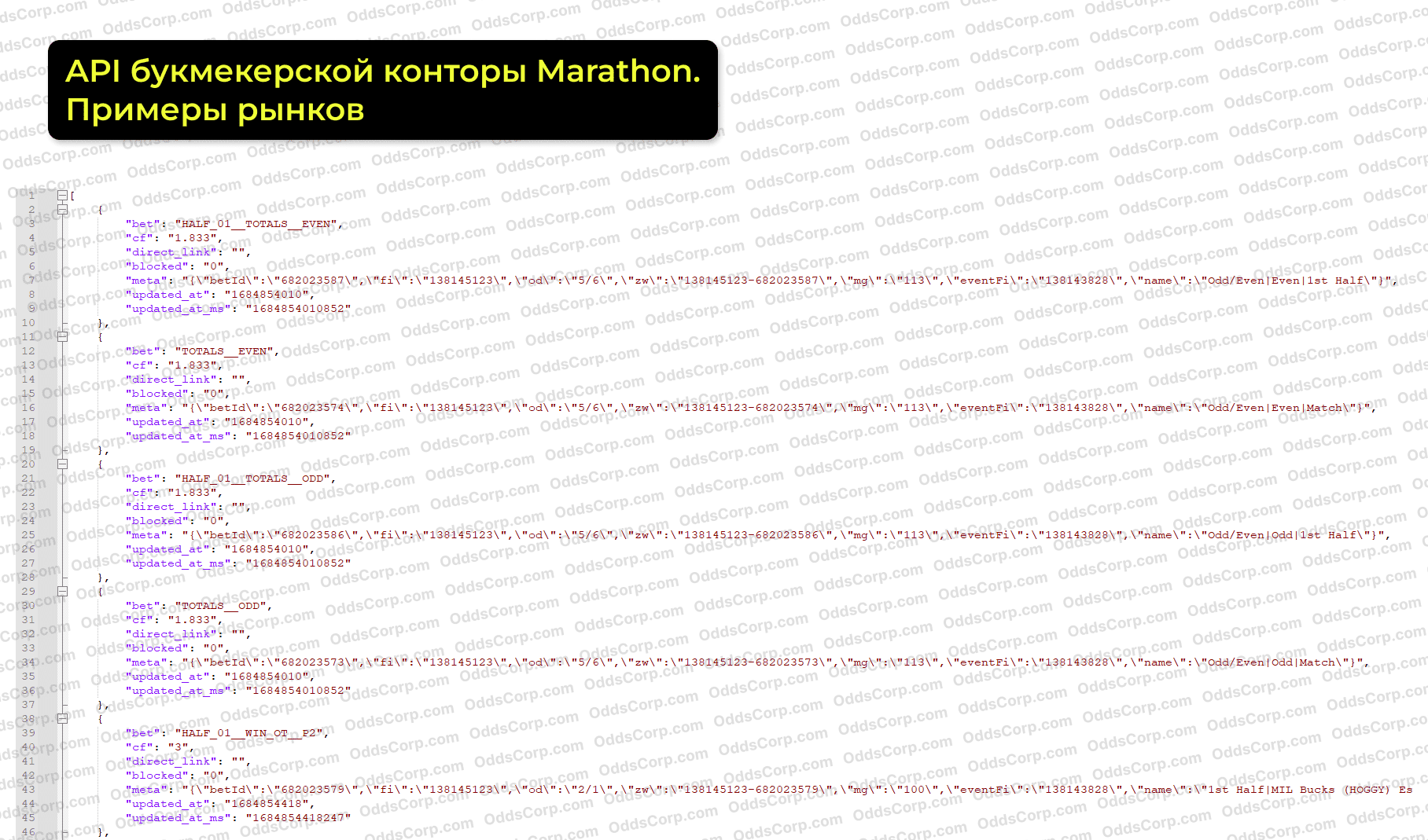 marathon-api-rynki.png