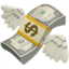 💸