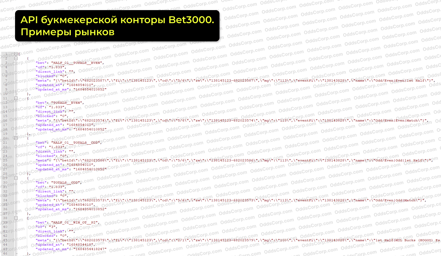 bet3000-api-rynki.png